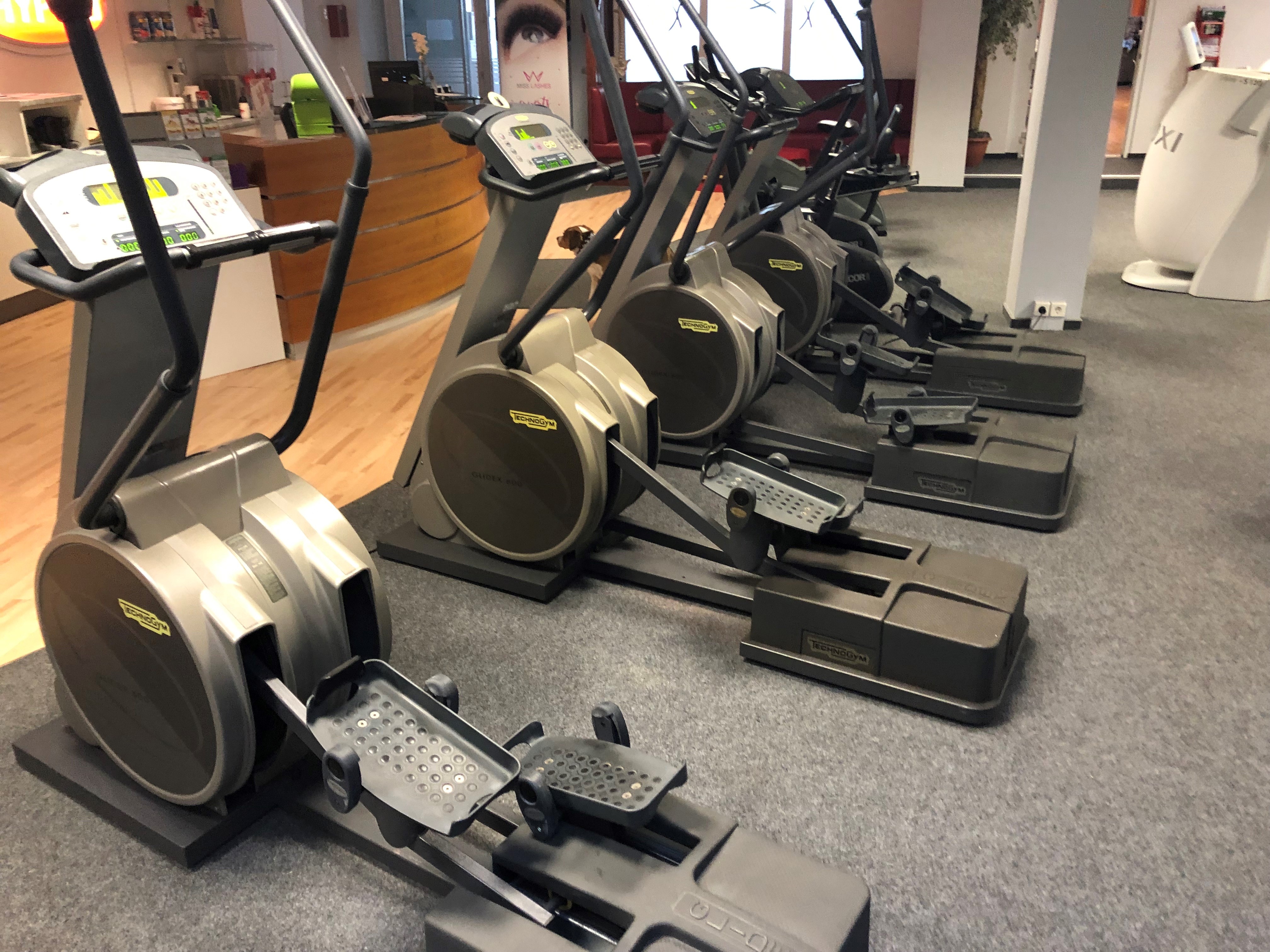 Crosstrainer TECHNOGYM Glidex 600, 4 St.