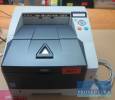 Drucker KYOCERA Ecosys P2135dn