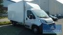 Lkw Koffer FIAT Ducato 250