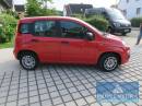 Pkw FIAT Panda 1.2 5-türig EZ 2017 13.000 km