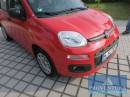 Pkw FIAT Panda 1.2 5-türig EZ 2017 13.000 km