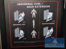 Abdominalcurl NPG R2.109 Abdominal/Back Extension