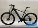 E-Bike AXESS Force SPG 29 Zoll