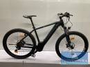 E-Bike AXESS Force SPG 29 Zoll