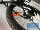 E-Bike AXESS Force SPG 29 Zoll