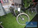 Damenfahrrad GREEN'S grau