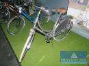 Damenfahrrad GREEN'S grau