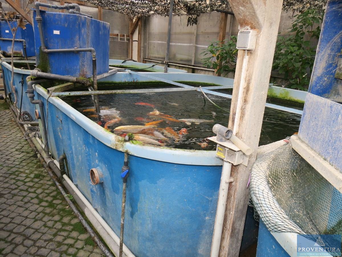 GFK Becken von Kruk hotsell Koi Fischzucht Häterungsbecken