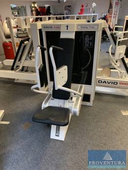 Rowing Torso DAVID 430