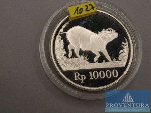 Silbermünze Indonesien 10000 Rupiah Warzenschwein 1987 pp